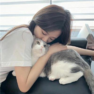 行尸之惧第六季