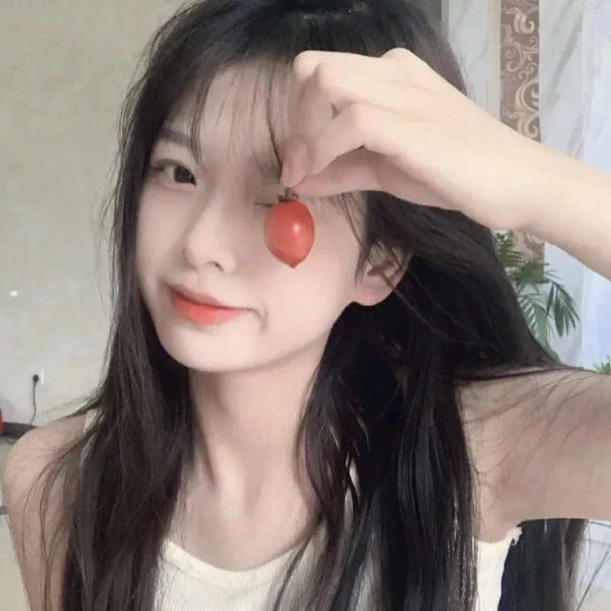 托梅斯的导盲犬